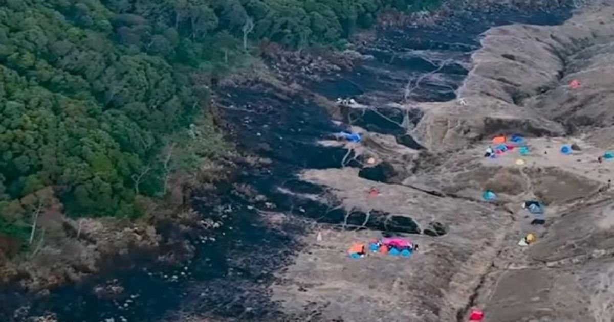 Alun-Alun Suryakencana Terbakar, TN Gunung Gede Pangrango Tutup Total Pendakian