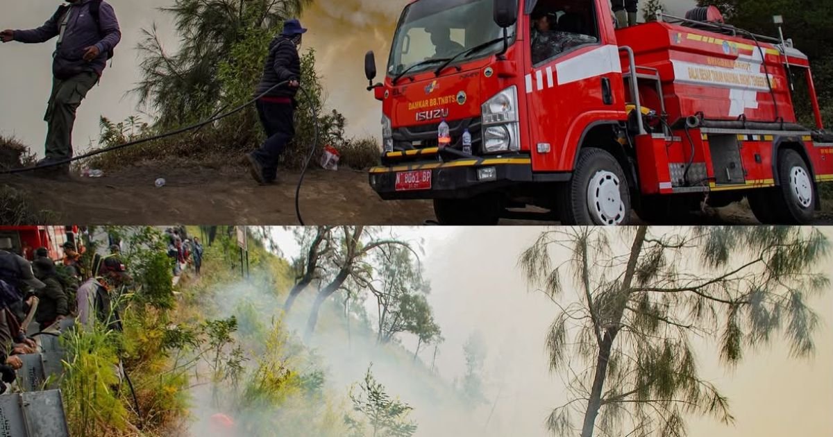 Karhutla Gunung Bromo Meluas, Luas Area Terdampak Capai 120 Hektare
