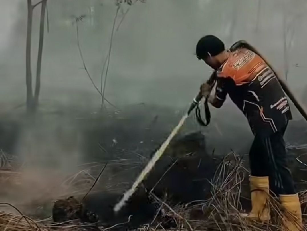 Kolaborasi Korporasi dan Pemerintah Diperlukan untuk Padamkan Karhutla Kalsel