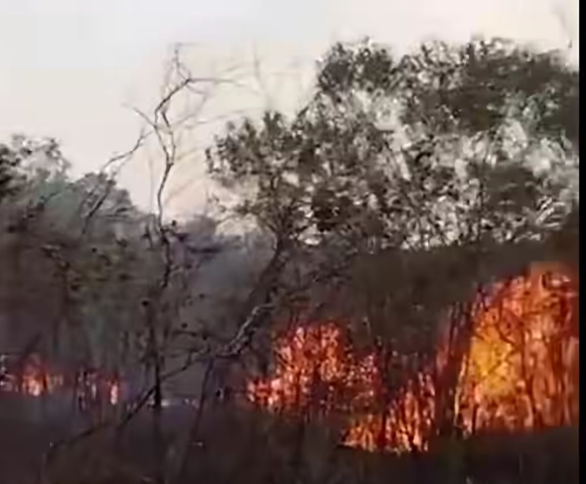 Pemerintah Pusat Perkuat Armada Pemadaman Karhutla di Kalimantan