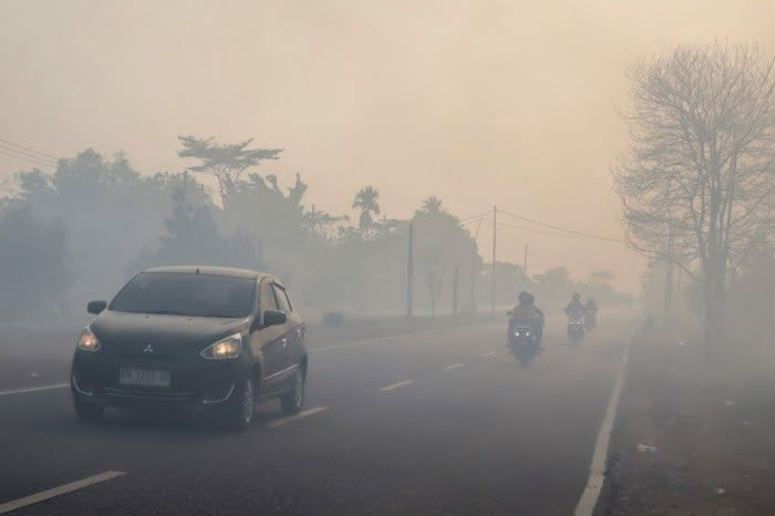 Kabut Asap Karhutla Meluas, 3 Juta Warga Terpapar, ISPA Meningkat Tajam