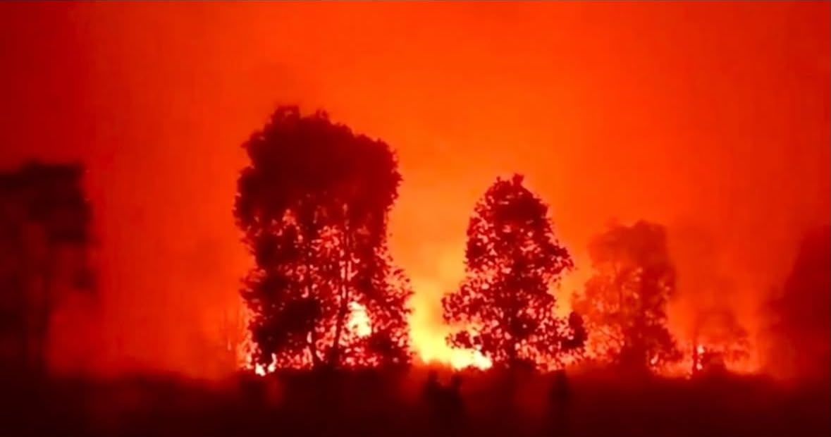 Karhutla Landa Way Kambas, 673 Hektare Terbakar, Gajah Sumatra Aman
