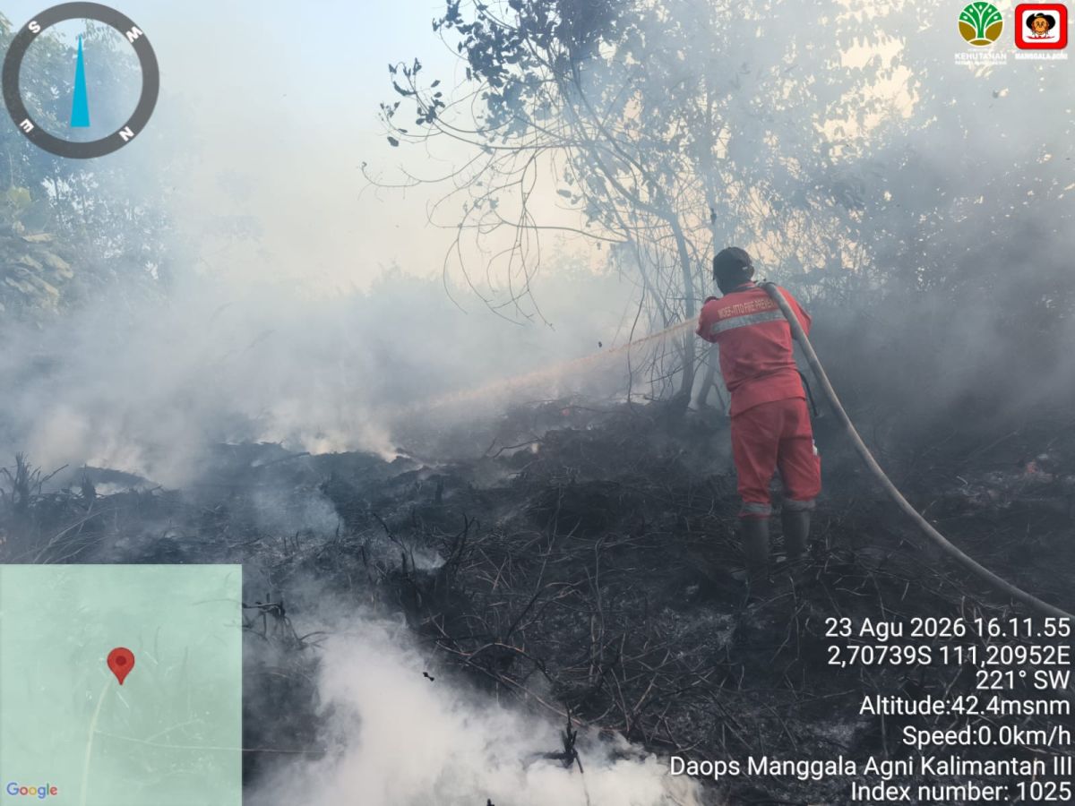 Kebakaran Kalimantan dan Gempa Flores, Ujian Kesiapan Bencana Pemerintah Indonesia