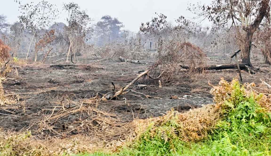 BNPB Perkuat Mitigasi Karhutla: Water Bombing hingga Modifikasi Cuaca di 6 Provinsi Prioritas