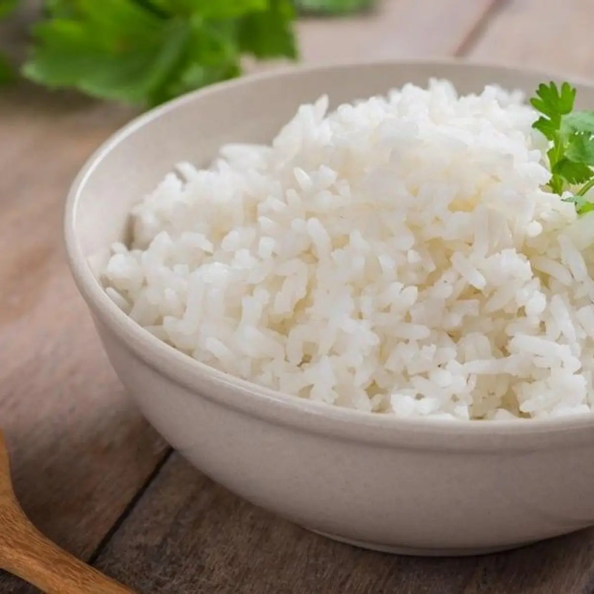 Nasi Putih Tetap Sahabat Diet: Ahli Gizi Ungkap Kuncinya Ada pada Porsi