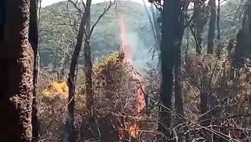 Ancaman Karhutla di Jabar Meningkat, Aktivitas Pendakian Gunung Diimbau Dihentikan Sementara