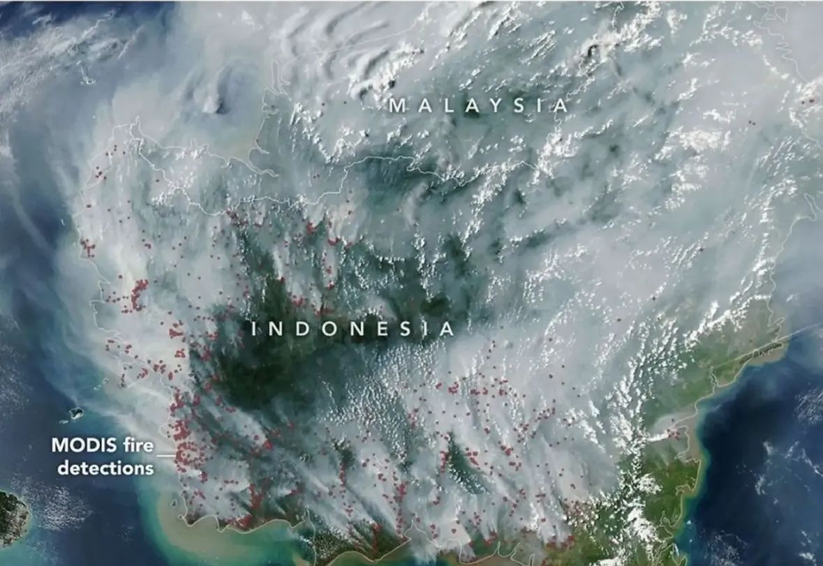 Asap Karhutla Kalimantan Terlihat dari Luar Angkasa, Capai Malaysia