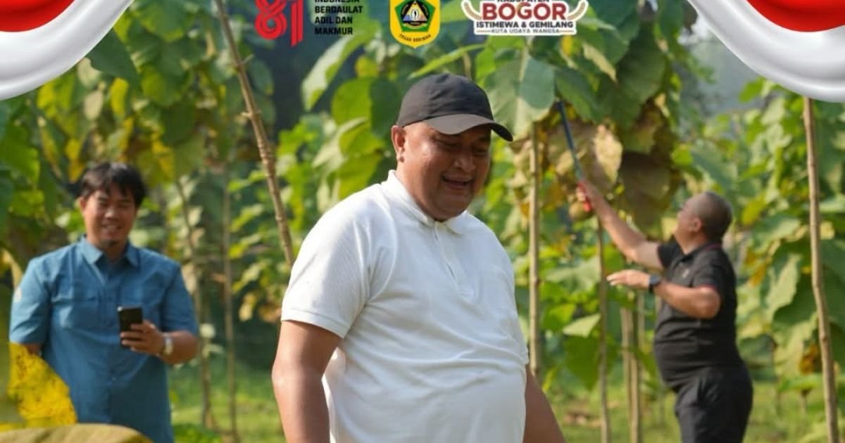 Pembangunan Hutan Kota Telah Menjangkau Seluruh Kecamatan di Kabupaten Bogor, Total Luas Sementara 156,44 hektar