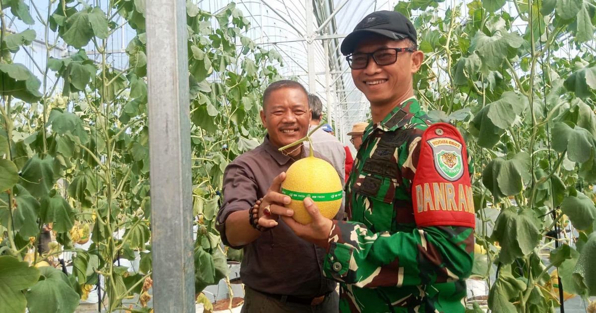 Cisolok Miliki Destinasi Agrowisata Baru, SAM FARM Greenhouse Resmi Dibuka untuk Wisata Edukasi dan Petik Melon Premium