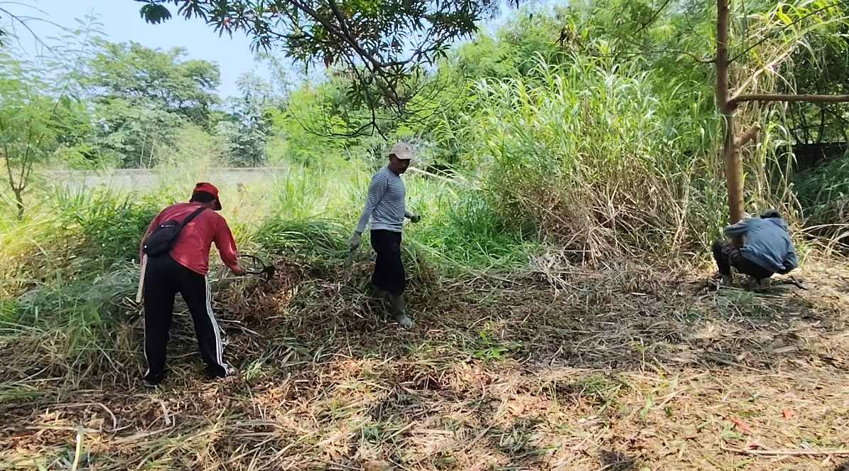 Tanah Wakaf Anggrek Dibersihkan, Yayasan Tawaf Laksanakan Instruksi Pemkot Bogor