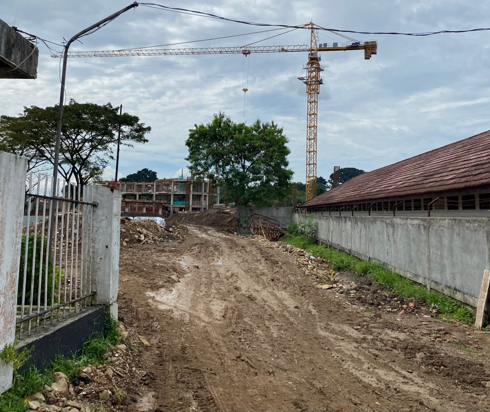 Dugaan Izin Belum Tuntas, GADA AMS Desak Pemkot Bogor Tindak Tegas Proyek Gene Bank Indonesia