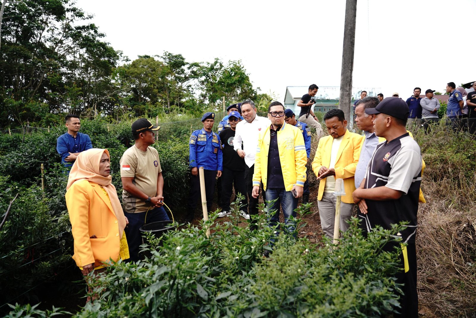 Bupati Pakpak Bharat Panen Cabai Merah di Pekarangan Kantor Pol PP Damkar