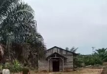 Warga Dusun Tanjung Mandiri Temukan Bercak Darah di Gereja, Diduga Terkait Kasus Pembunuhan Misterius