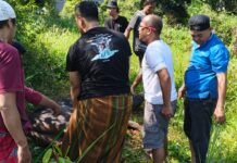 Bogor Media Siber Network Potong Sapi Kurban dari Bupati Rudy