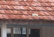 Suasana Haru dan Bahagia Menyelimuti Pelepasan Siswa Kelas VI SDN Tajur 3 Kota Bogor