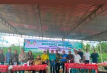 Bupati Dairi Peringati Hari Lingkungan Hidup di Desa Pegagan Julu V